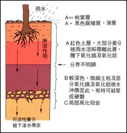 鿴ͼ